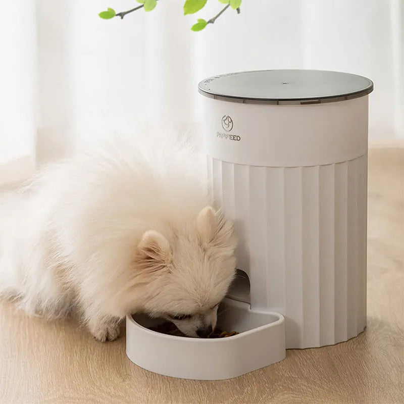White PP plastic cat automatic pet feeder with programmable schedule and WiFi control on a countertop