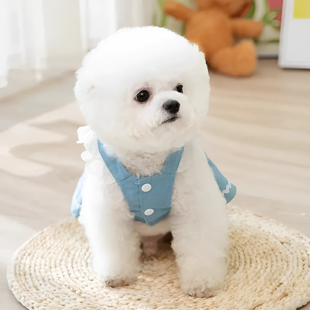 Strawberry denim skirt dog clothes in Bondi Blue colour showing traction backing and weight-based sizing options