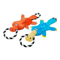 Two cotton string molar sound dog toys in suit colour on a surface
