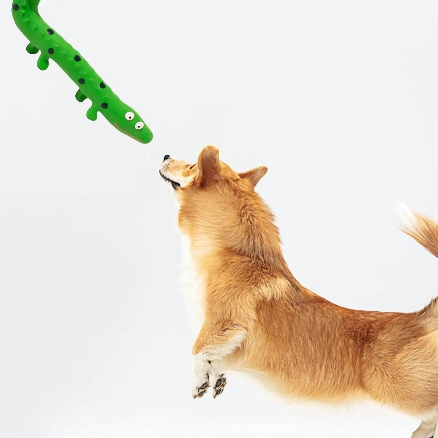 Green cartoon lizard-shaped dog chew toy with squeaker on a white background.