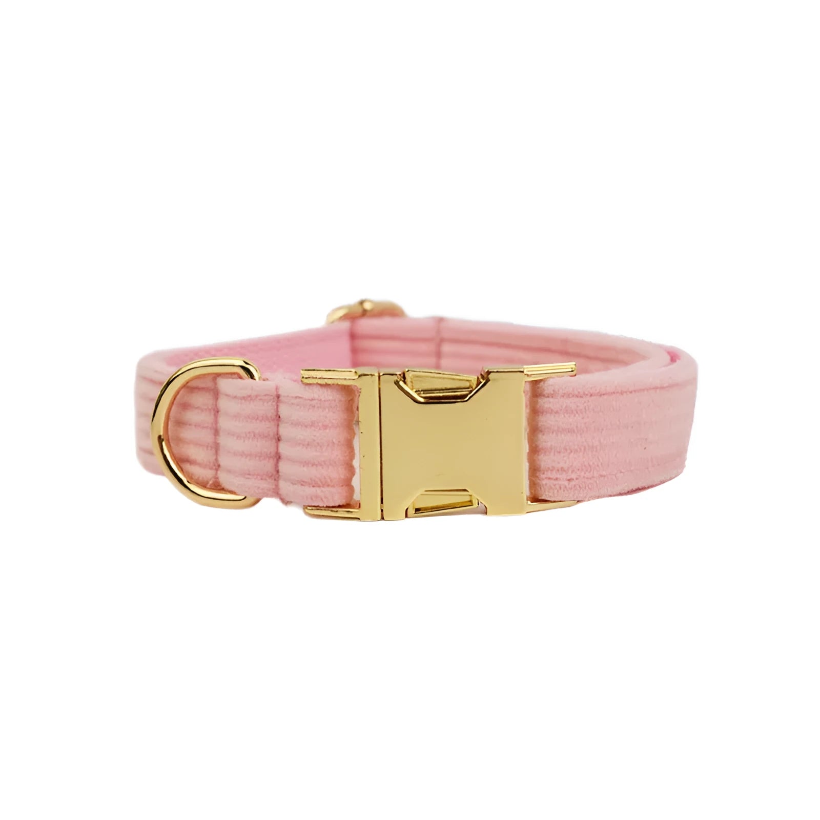 Textured corduroy dog collar in light green colour with metal D-ring and plastic buckle clasp.