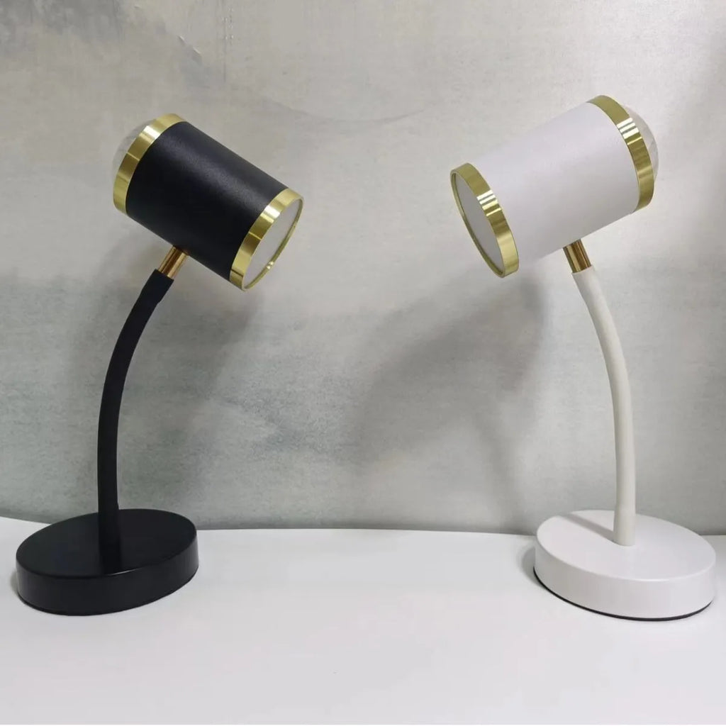 Black double-headed photography streaming desk lamp with metal holder and wire switch