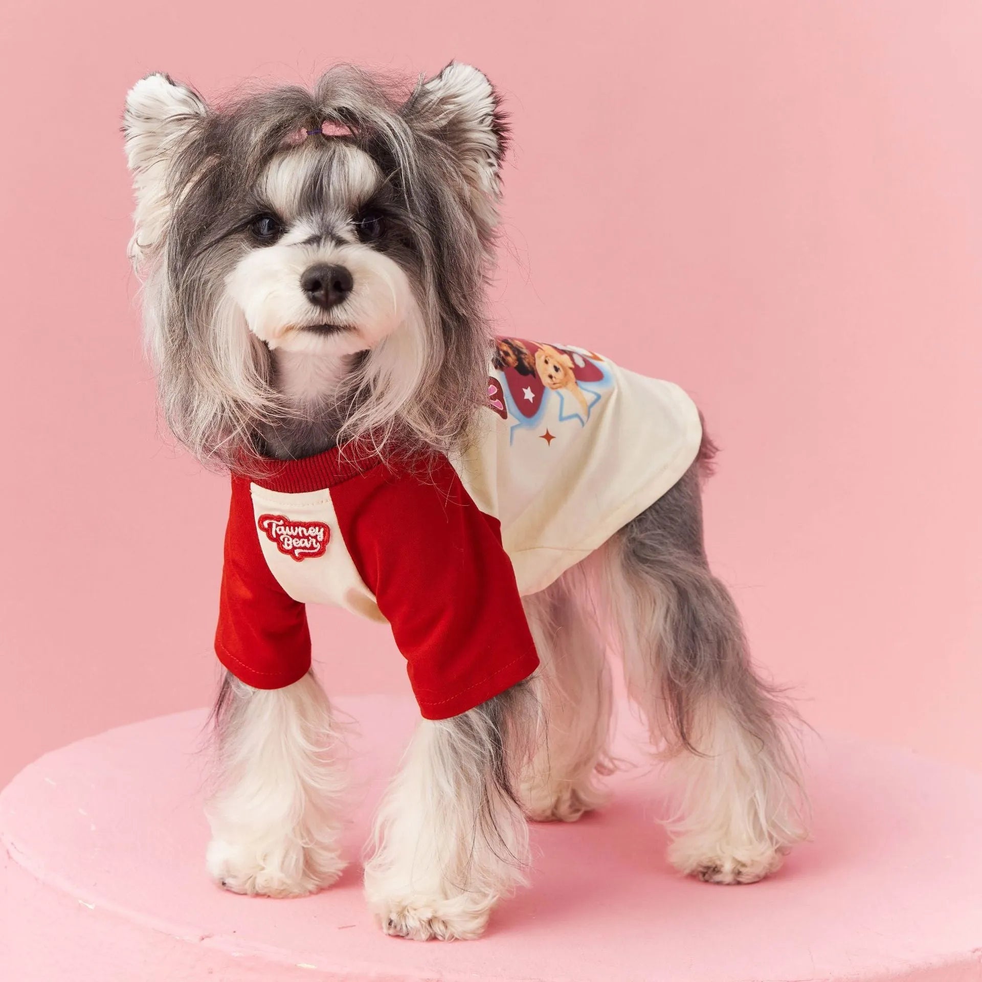 Cotton dog summer clothes with contrast embroidery in red or pink, available in sizes XS to XXL