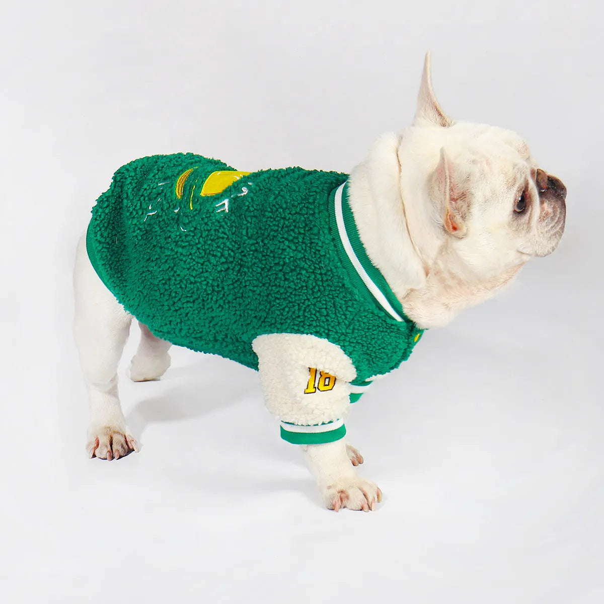 Green dog winter jacket with fleece lining shown in sizes L to 4XL