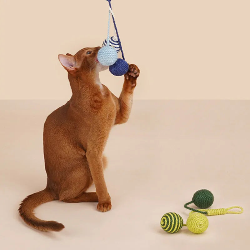 Cat toy set with teaser stick, catnip ball, and four interactive toys in blue, green, or red yellow blue colours