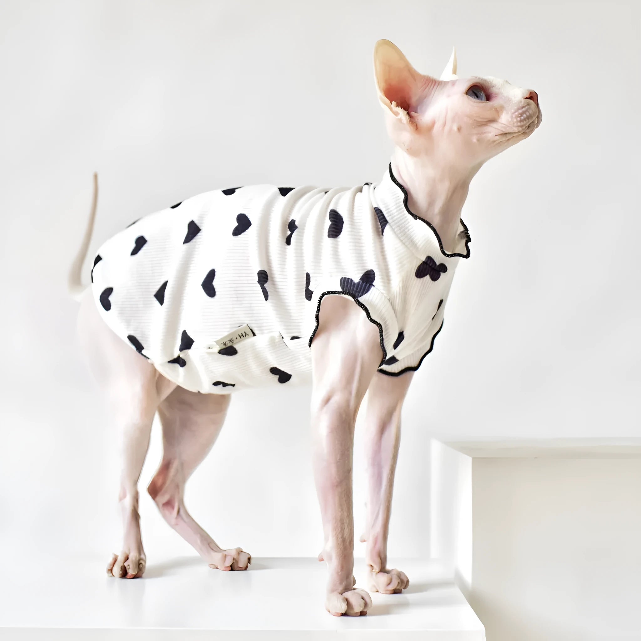 Sleeveless rubber cat vest for summer warmth, available in multiple colours and sizes XS to XXL