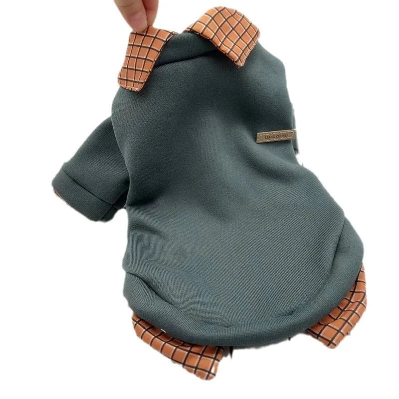 Gray dog wearing two-piece sweater with detachable collar in polyester velvet material