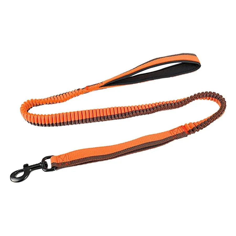 Green elastic shock-resistant dog training leash with 360-degree rotating metal clip