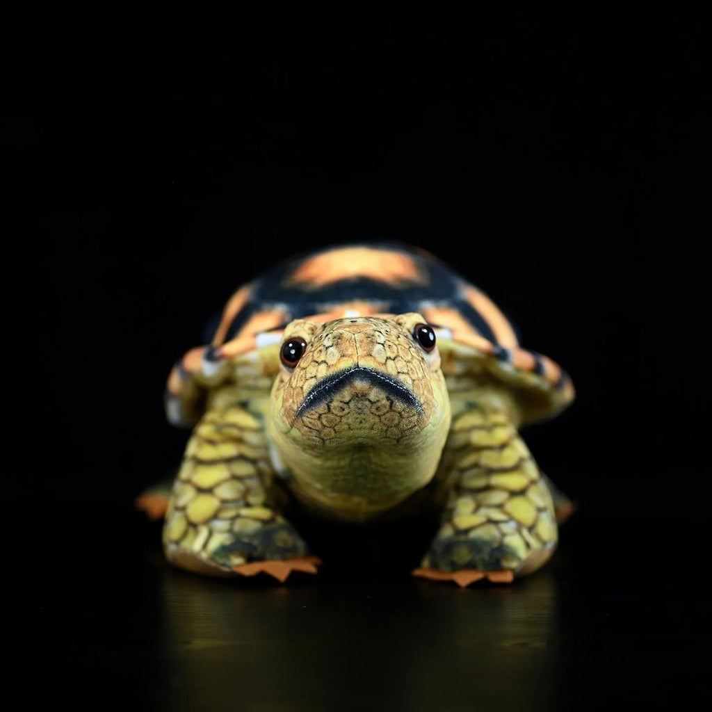 35cm velvet simulated land turtle plush doll in tortoise style with PP cotton filling