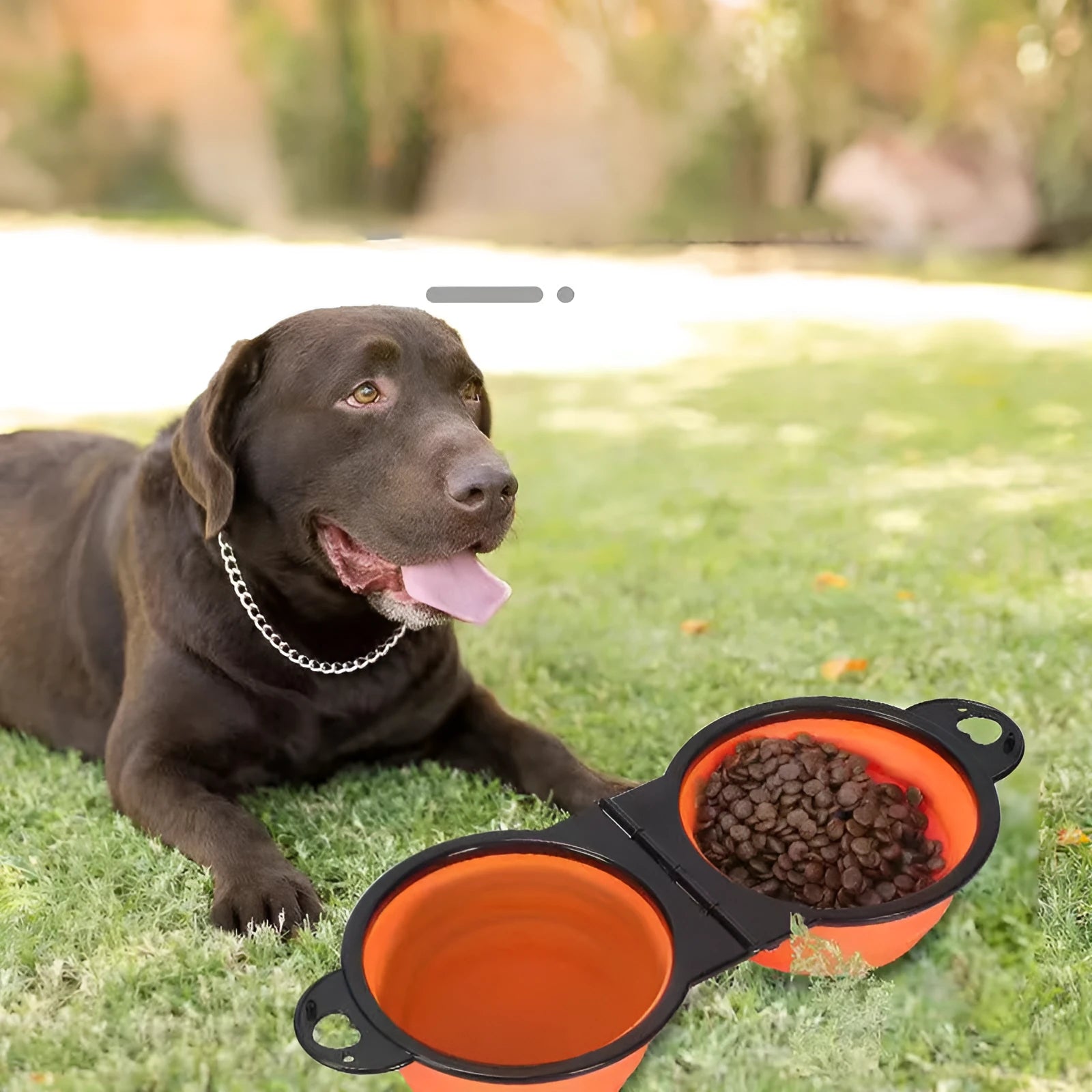 Blue folding silicone double pet bowl with two compartments for dog or cat food and water