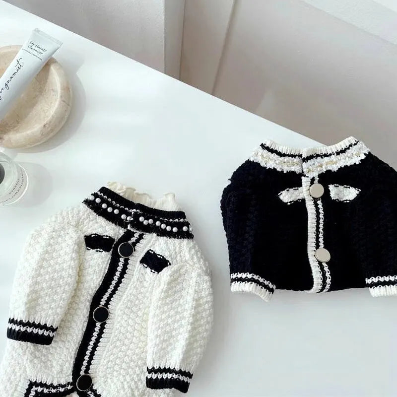 Korean style white pearl collar dog sweater on small puppy showing princess-style pet clothing