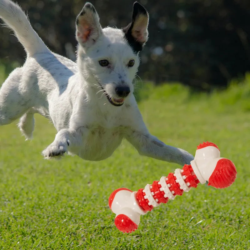 Bone-shaped interactive dog chew toy for small breeds with treat holder compartment
