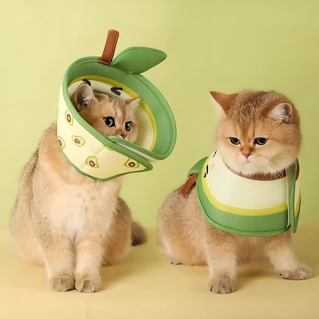 Soft grey EPE foam cat cone collar with white adjustable strap fastened around a cat's neck.