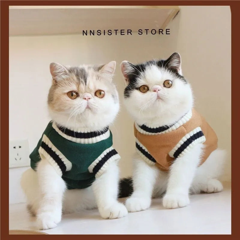 Silver gradual layer college style winter cat clothes in blue duck colour for British Shorthair cats