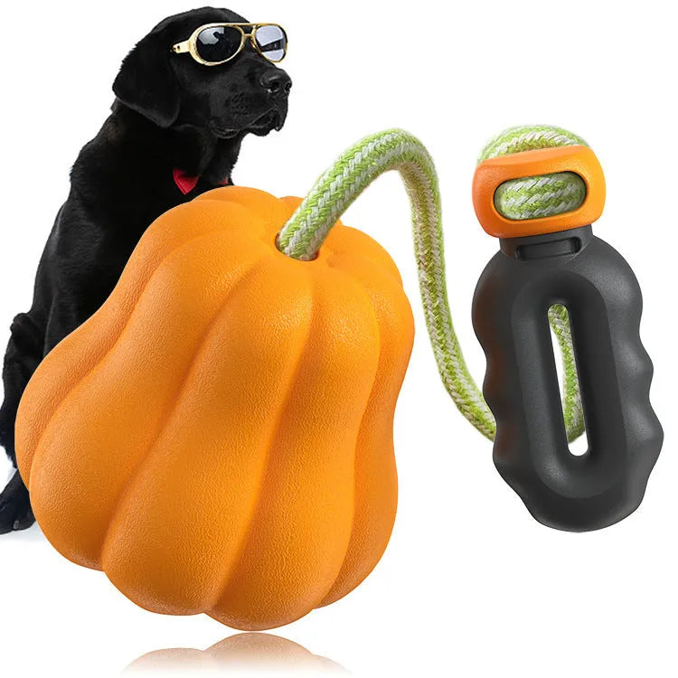 Orange plastic dog molar chew toy with a built-in rope for tugging and fetch.