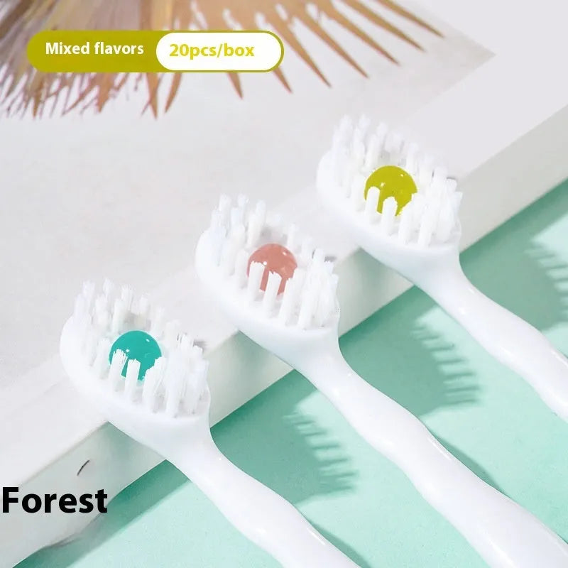 Box of disposable bead toothbrushes showing mint, peach, plum green tea and mixed flavour options