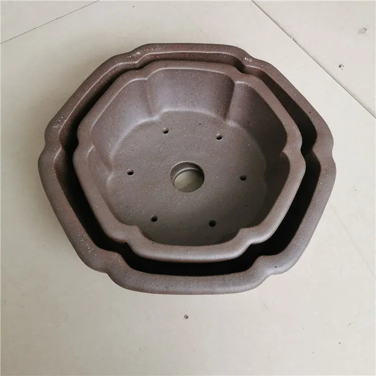 Large hexagonal purple sand flowerpot in brown colour for flowers and green plants