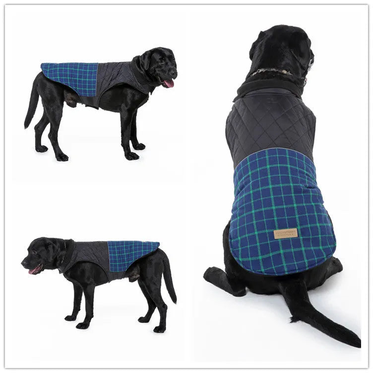 Reflective dog jacket in blue-green on white background with breathable mesh chest panel and alloy fasteners