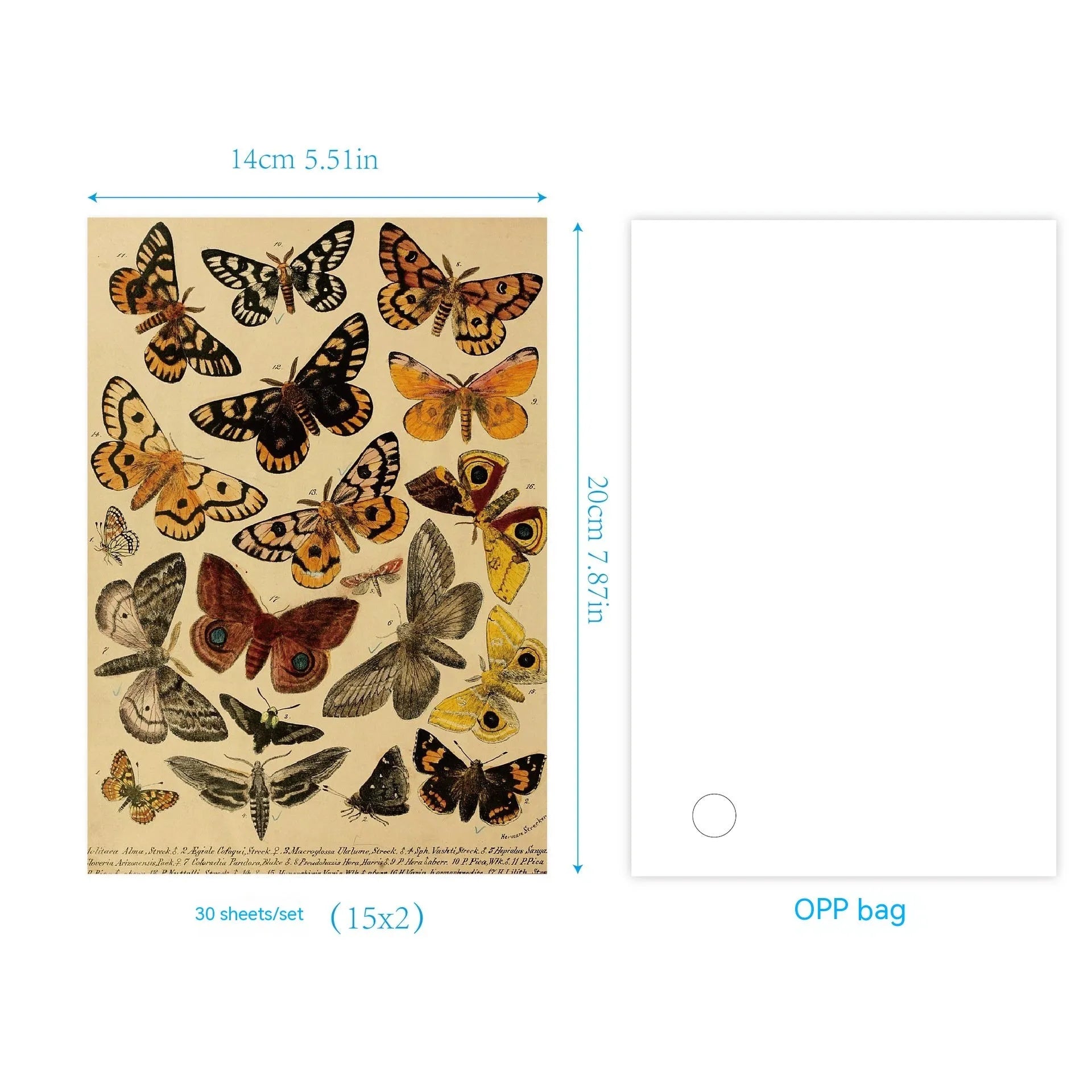 30 pieces of retro-style printed scrapbook paper with botanical, floral, letter, and musical designs