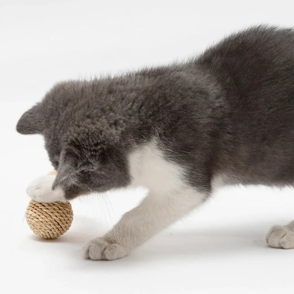 Two cat toys: rattan ball with bell and colourful faux feather ball for interactive play