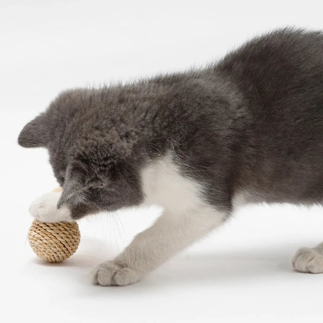 Two cat toys: rattan ball with bell and colourful faux feather ball for interactive play