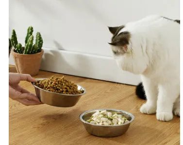Stainless steel pet bowl with non-slip base, shown in one of five available sizes for dogs and cats.