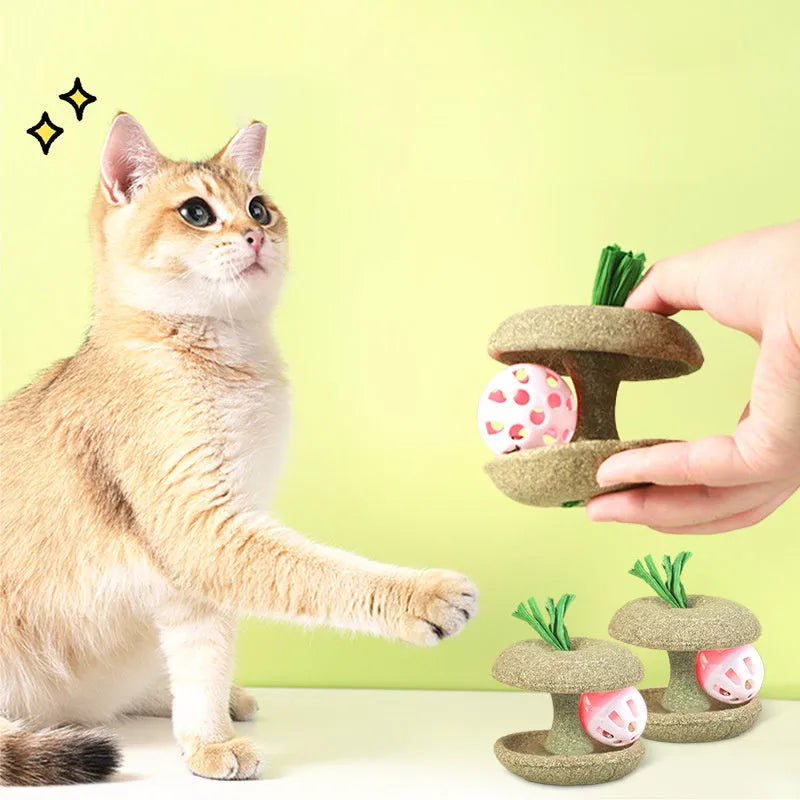 Green edible catnip toy with bell for cat teeth cleaning and chasing game