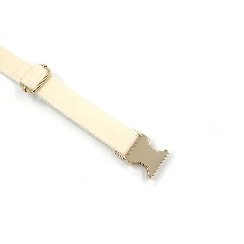 Cream velvet dog collar with gold buckle, matching bow tie, and leash set on a white background