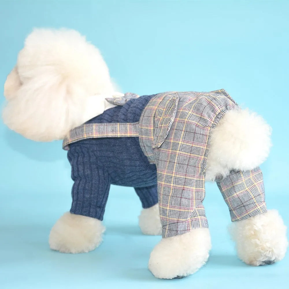 Orange cotton dog shirt shown on small breed pet, demonstrating suit-style pet clothing