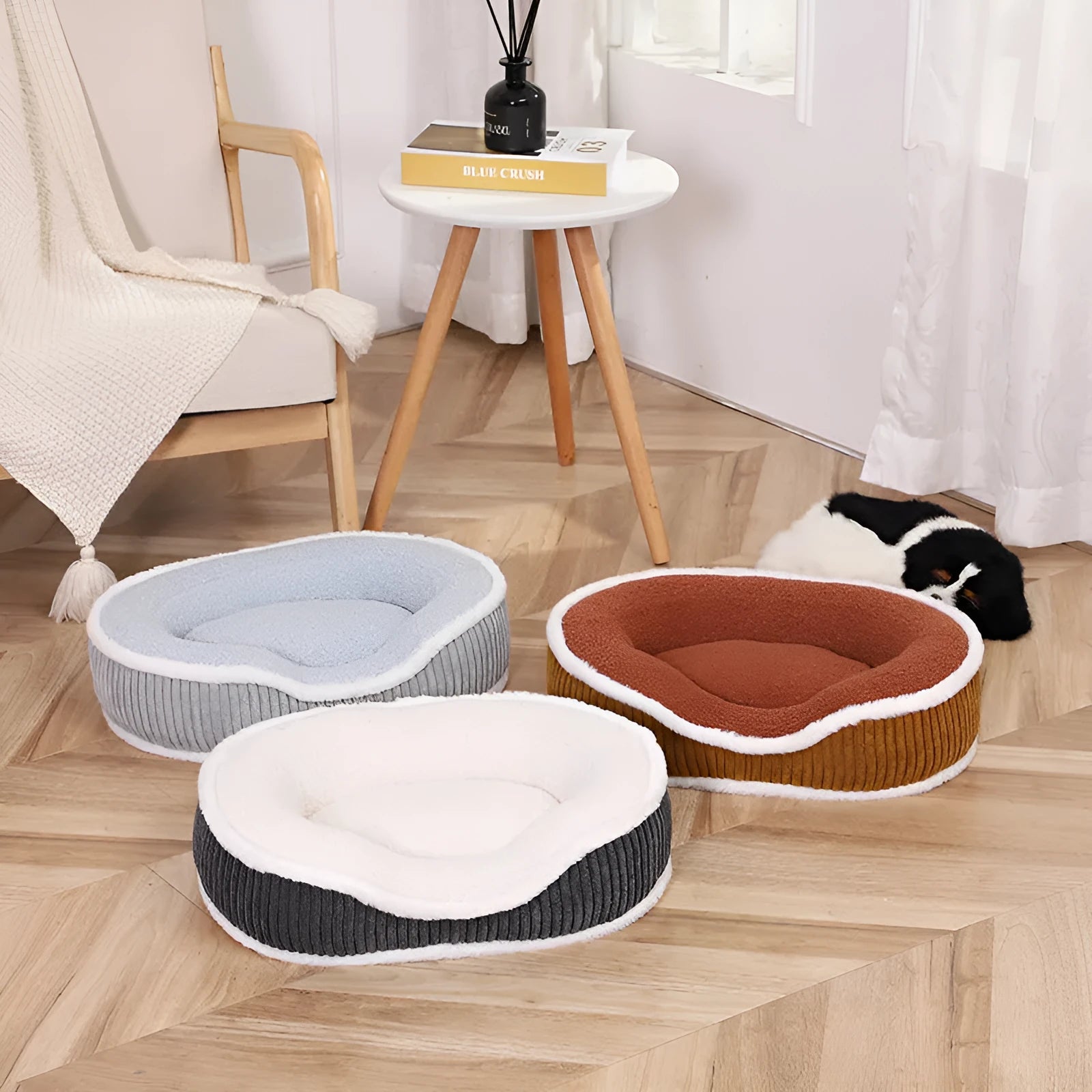 New autumn-winter pet bed with thick soft plush cushion in three sizes and colours