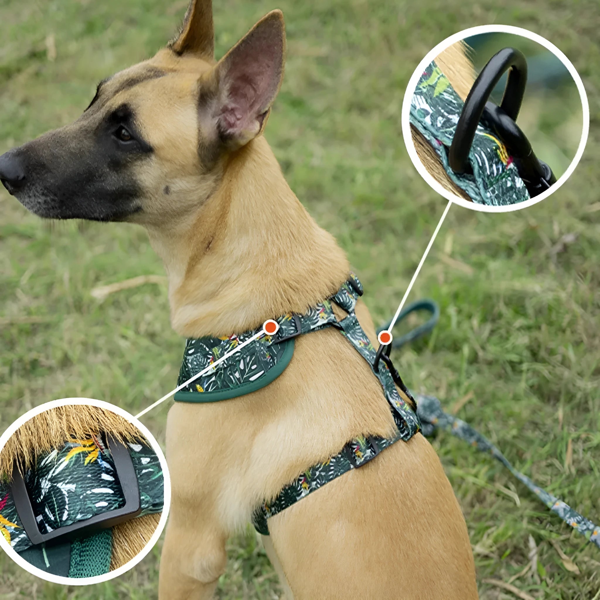 Adjustable cloth pet harness set with six accessories including chest harness, leash, collar, waste bag, bow tie, and triangular scarf