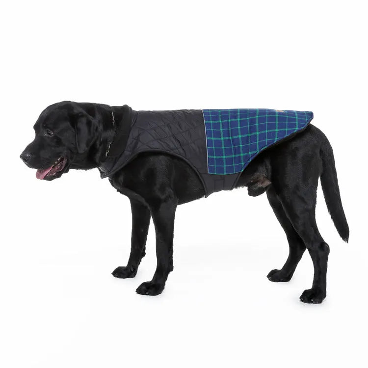 Reflective dog jacket in blue-green on white background with breathable mesh chest panel and alloy fasteners