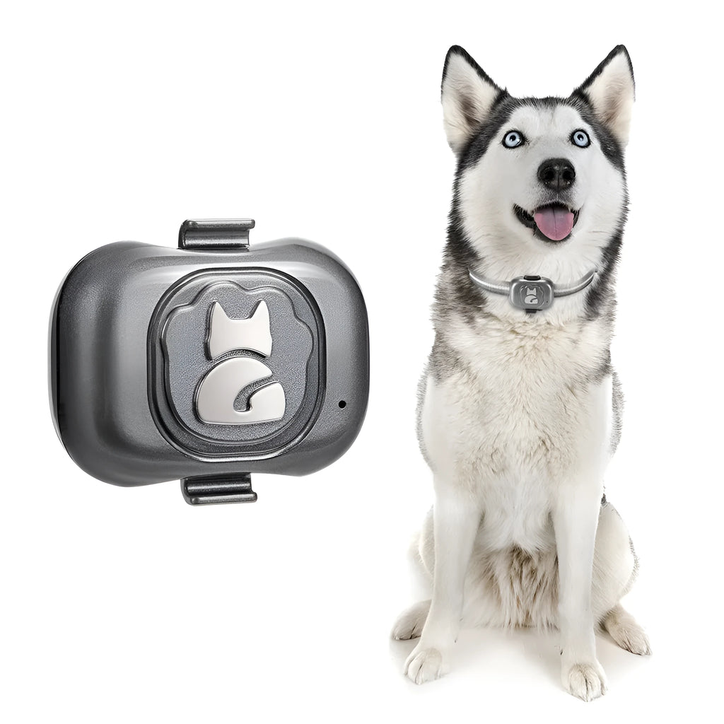 Black pet GPS locator tracker with hanging rope for attachment to dog or cat collars