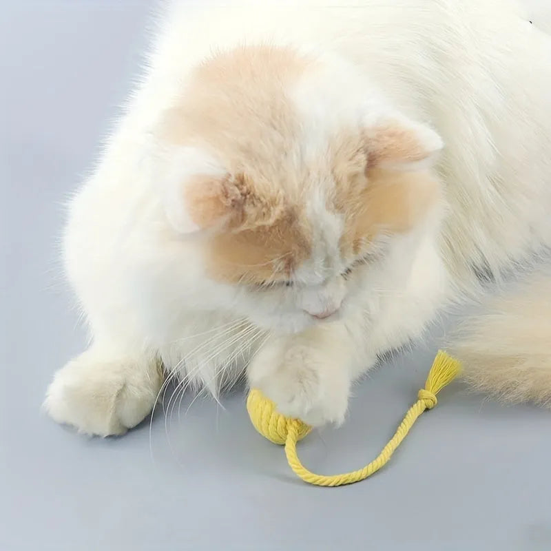 Cat toy ball with rope attached in green, pink, purple or yellow colour with internal bell