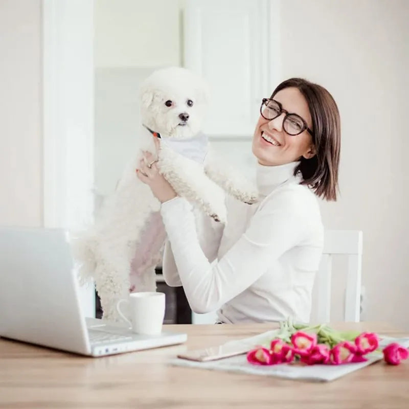 White polyester dog scarf blank ready for thermal transfer customisation in four sizes