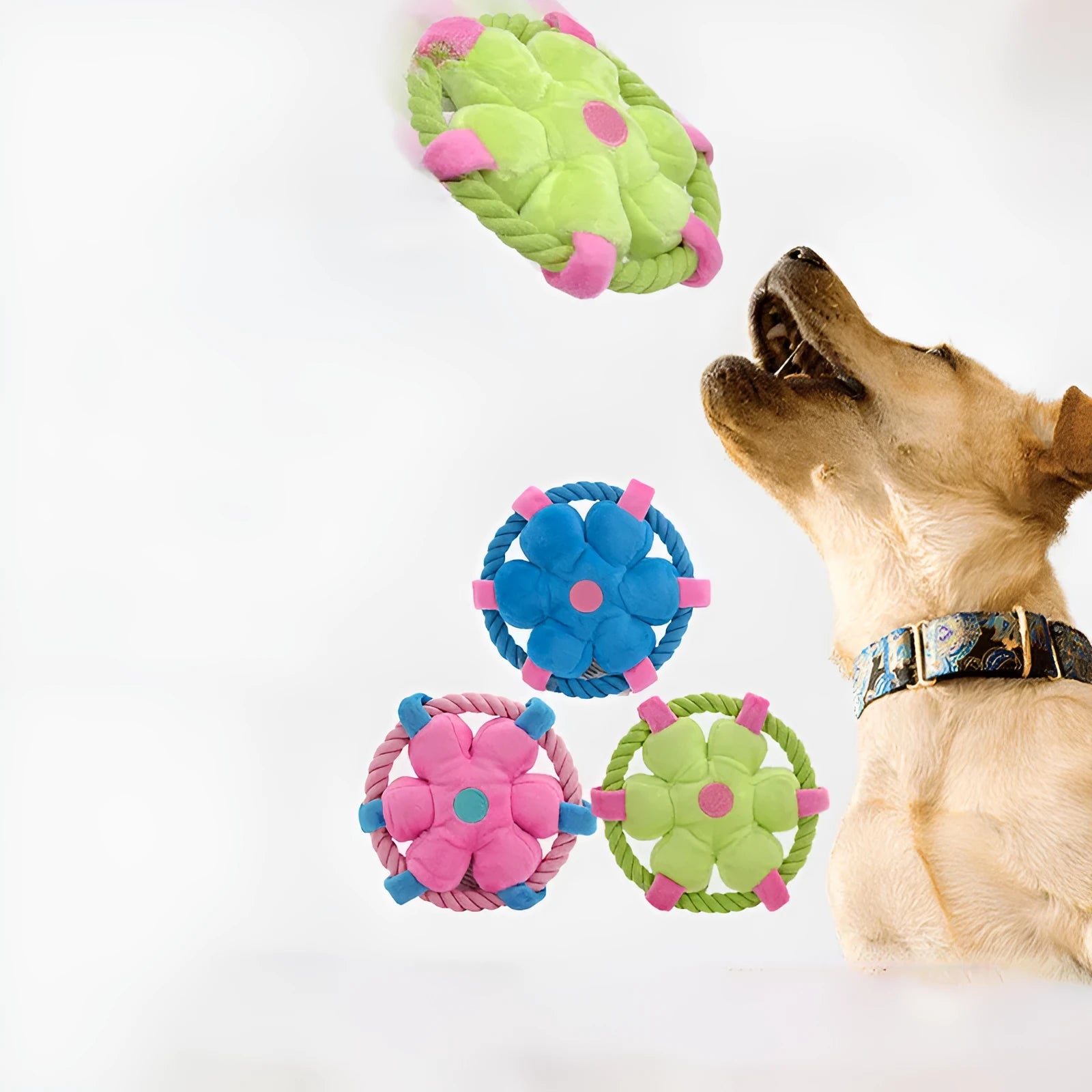 Three funny pet toy animal-shaped chew toys for dogs in blue, green, and pink colours