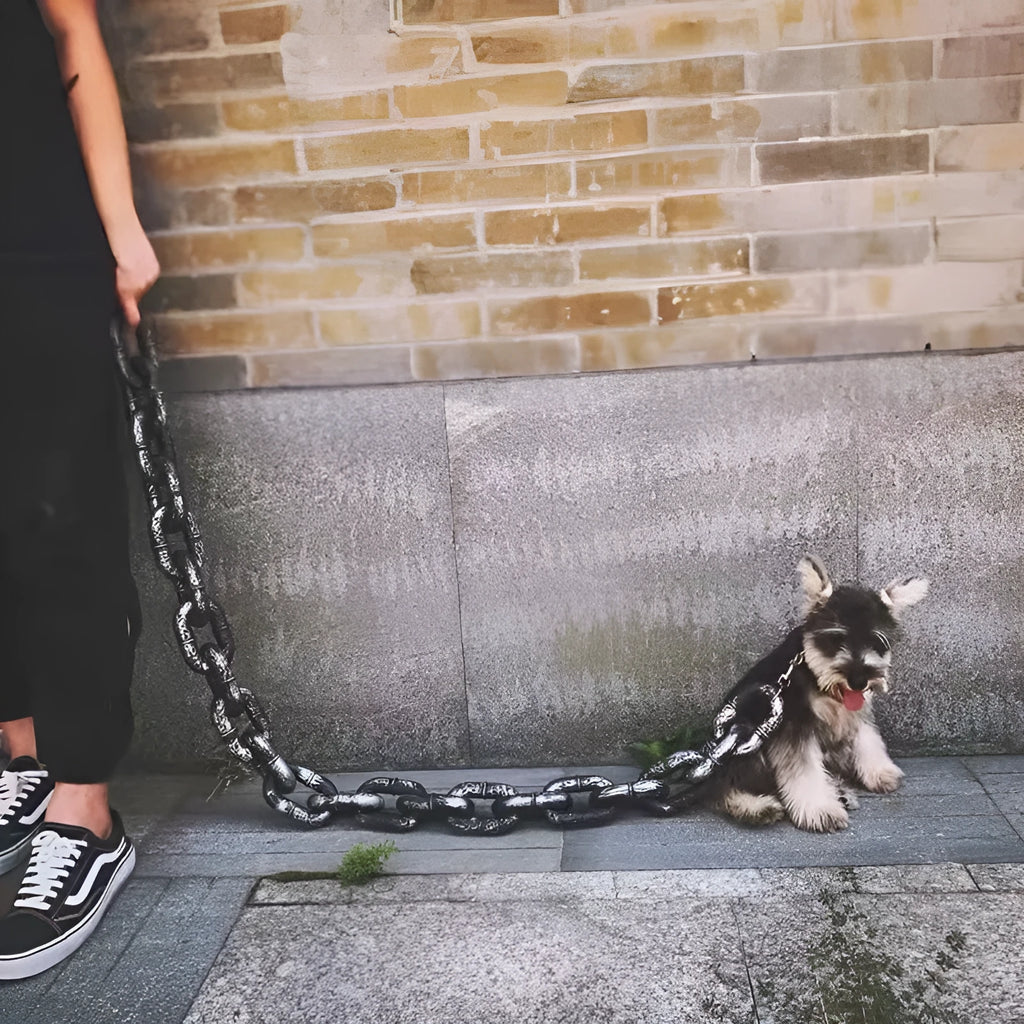 Imitation rough rope dog leash prop in antique silver colour for video and photography.
