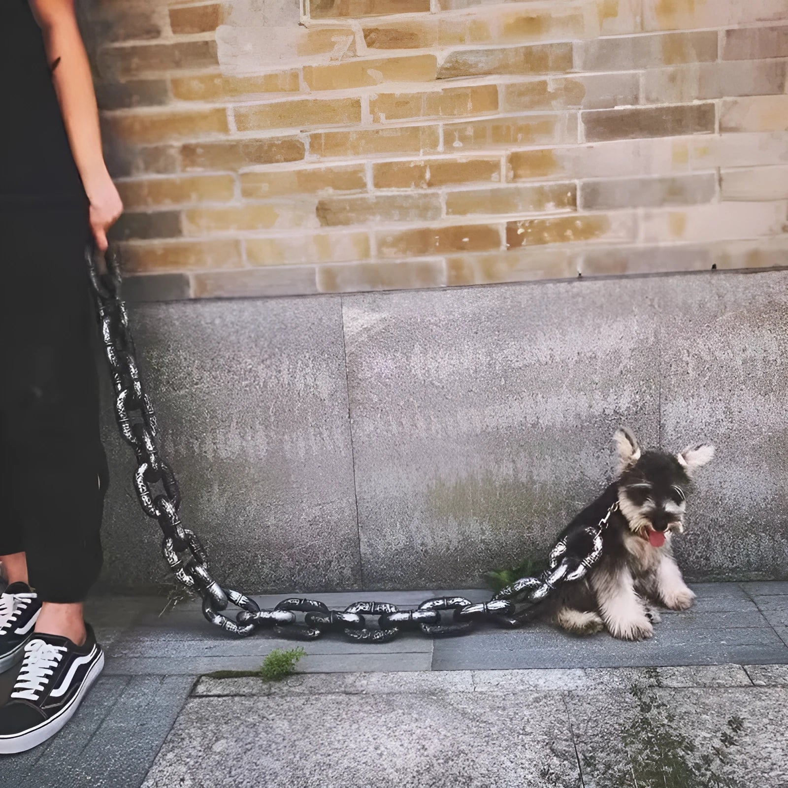Imitation rough rope dog leash prop in antique silver colour for video and photography.