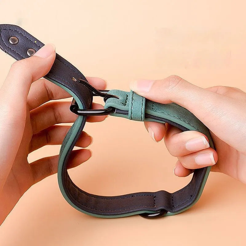 Adjustable dog collar with buckle fastening in purple colour showing double-layer construction