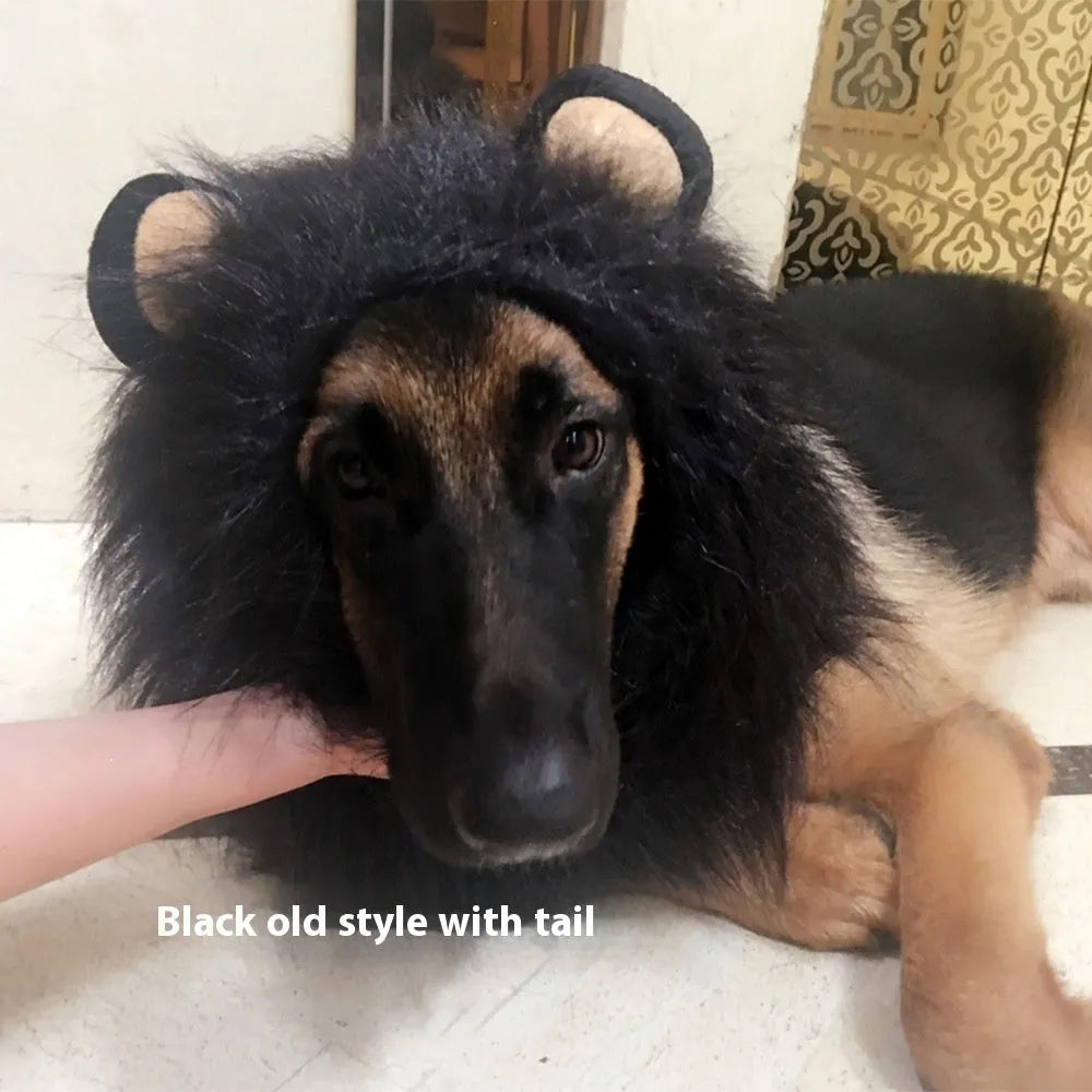 Dog wearing adjustable lion headdress costume with elastic band in light brown colour