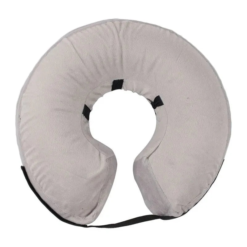 Blue inflatable recovery collar for a dog, showing soft cone alternative to plastic surgical collars.