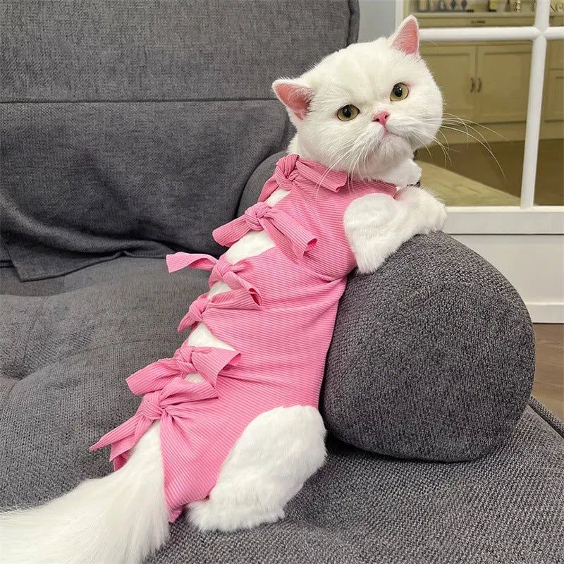 Lace-up back closure cat recovery suit in blue, sized for post-operative sterilisation care