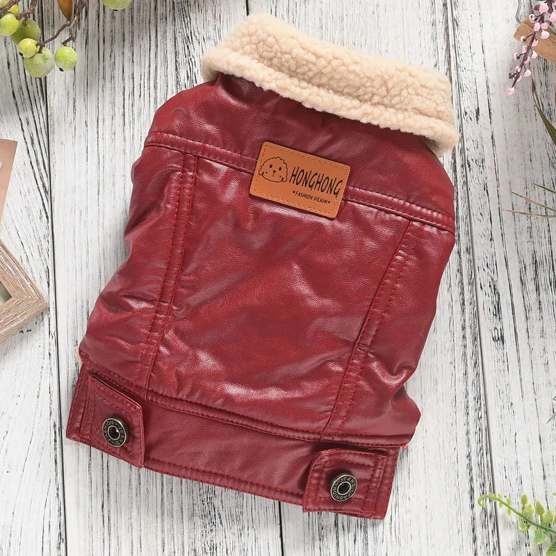 Red two-legged PU leather dog coat with fleece lining, shown on a small dog.