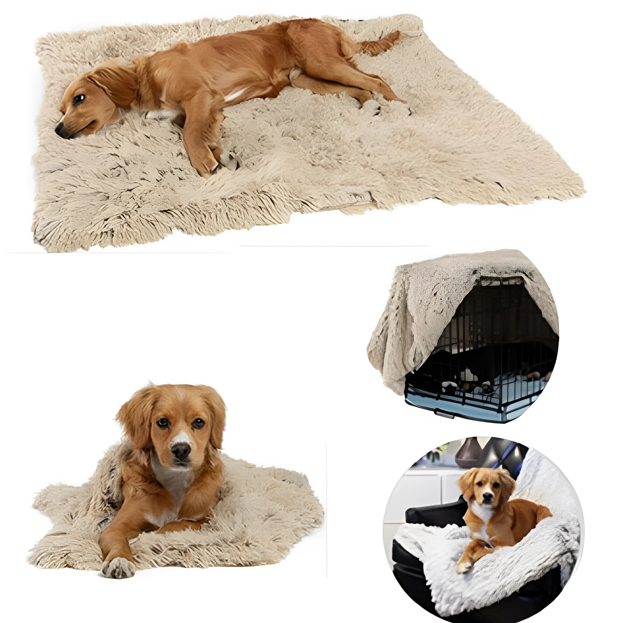 Soft plush dog blanket in multiple colours and sizes for medium and large dogs