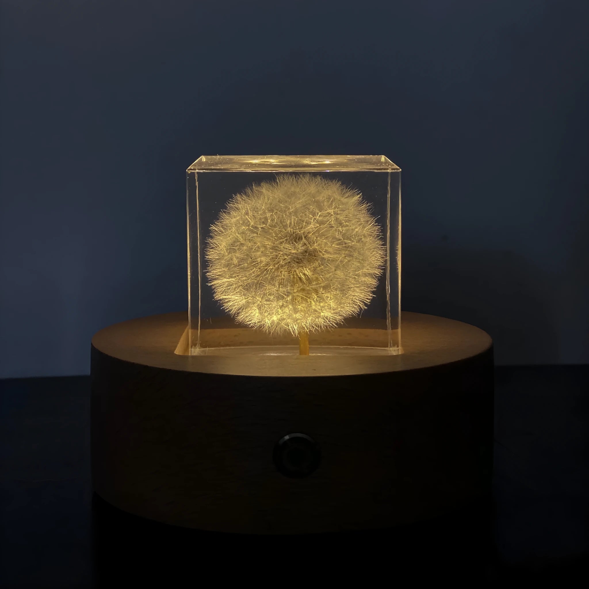 Clear resin cube with preserved dandelion flower, wooden box, and USB charging base