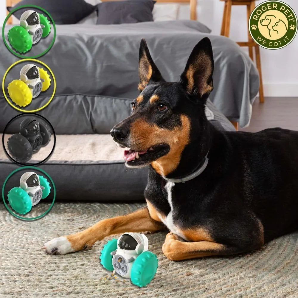 Small dog treat dispenser toy with roller design in multiple colour options for interactive pet play