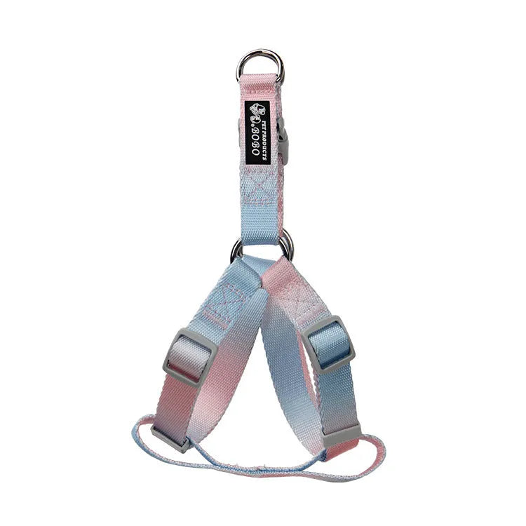 Gradient colour nylon dog leash and collar set in pink and blue combination