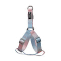 Gradient colour nylon dog leash and collar set in pink and blue combination
