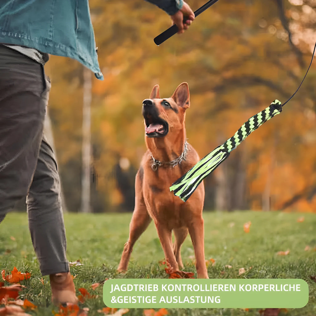 Black telescopic dog teasing rod with aluminium alloy shaft, two bite ropes and one ball, 102cm length