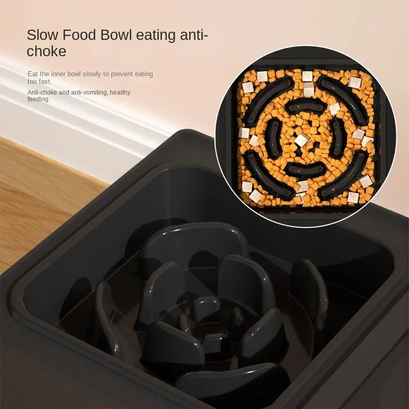 Adjustable height black dog bowl stand with two stainless steel food and water bowls